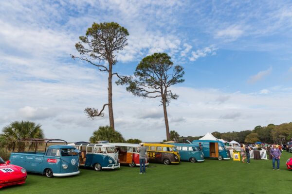 A row of colorful vintage Volkswagen vans is parked on a grassy field under a blue sky with scattered clouds, with two tall pine trees and people milling around in the background.