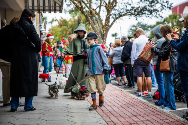 walking dogs downtown