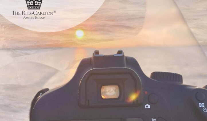 Dolphin Research Tour