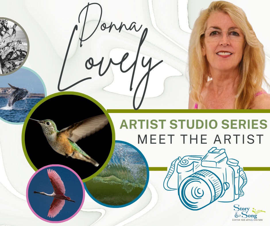 Donna Lovely Artist Studio