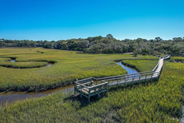 A wooden boardwalk winds through green marshland, crossing over a narrow stream under a bright blue sky with trees in the background.