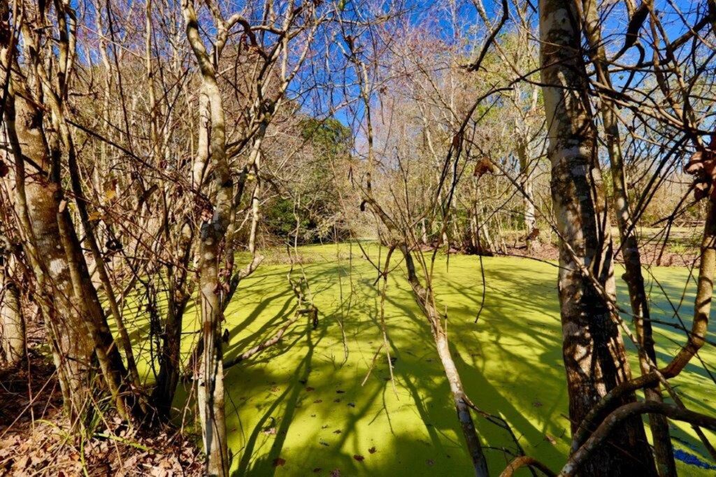 Egan's Creek Park and Greenway