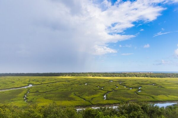 Egans March landscape