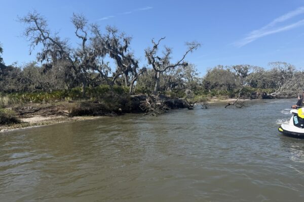 A riverbank with leafless, twisted trees covered in Spanish moss, under a clear blue sky, with part of a jet ski visible on the right side of the image.