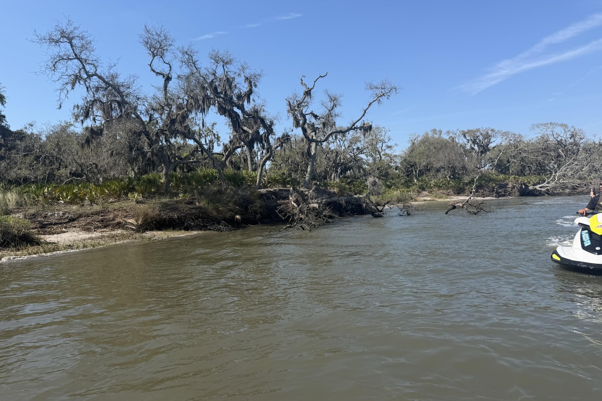 A riverbank with leafless, twisted trees covered in Spanish moss, under a clear blue sky, with part of a jet ski visible on the right side of the image.
