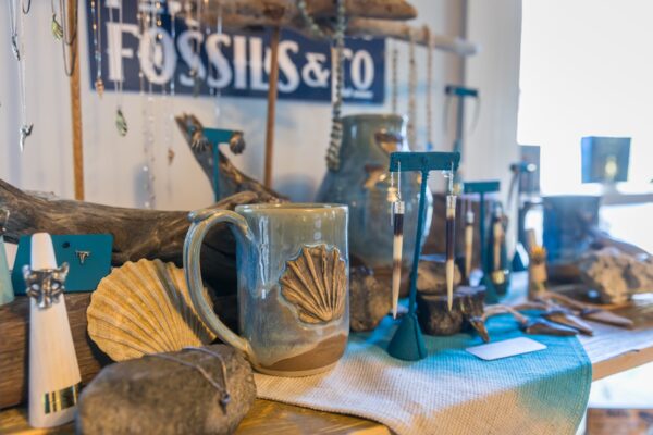A display of handmade pottery, jewelry, and fossils on a wooden shelf, featuring a mug with a shell design, driftwood, stone, and a blue FOSSILS & CO sign in the background.