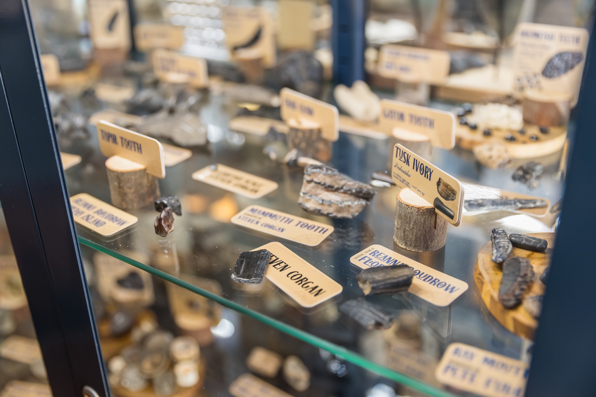 A glass display case featuring various labeled mineral and rock specimens, each placed on small wooden stands, with names written on tags in both English and another language.