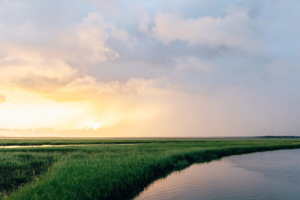 A peaceful marsh landscape at sunset, with green grasses bordering calm water under a colorful sky with soft yellow and blue hues.