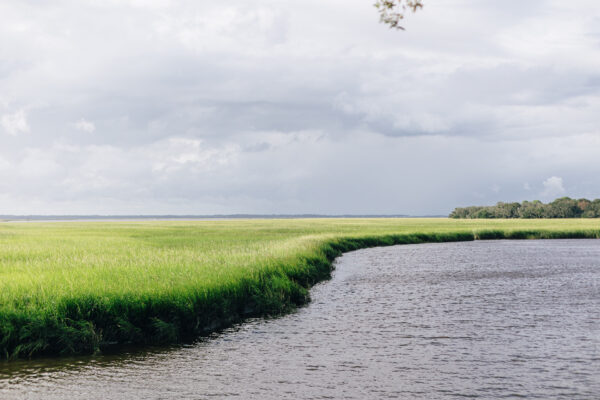A calm river curves through tall green marsh grasses under a cloudy sky, with distant trees visible on the horizon.
