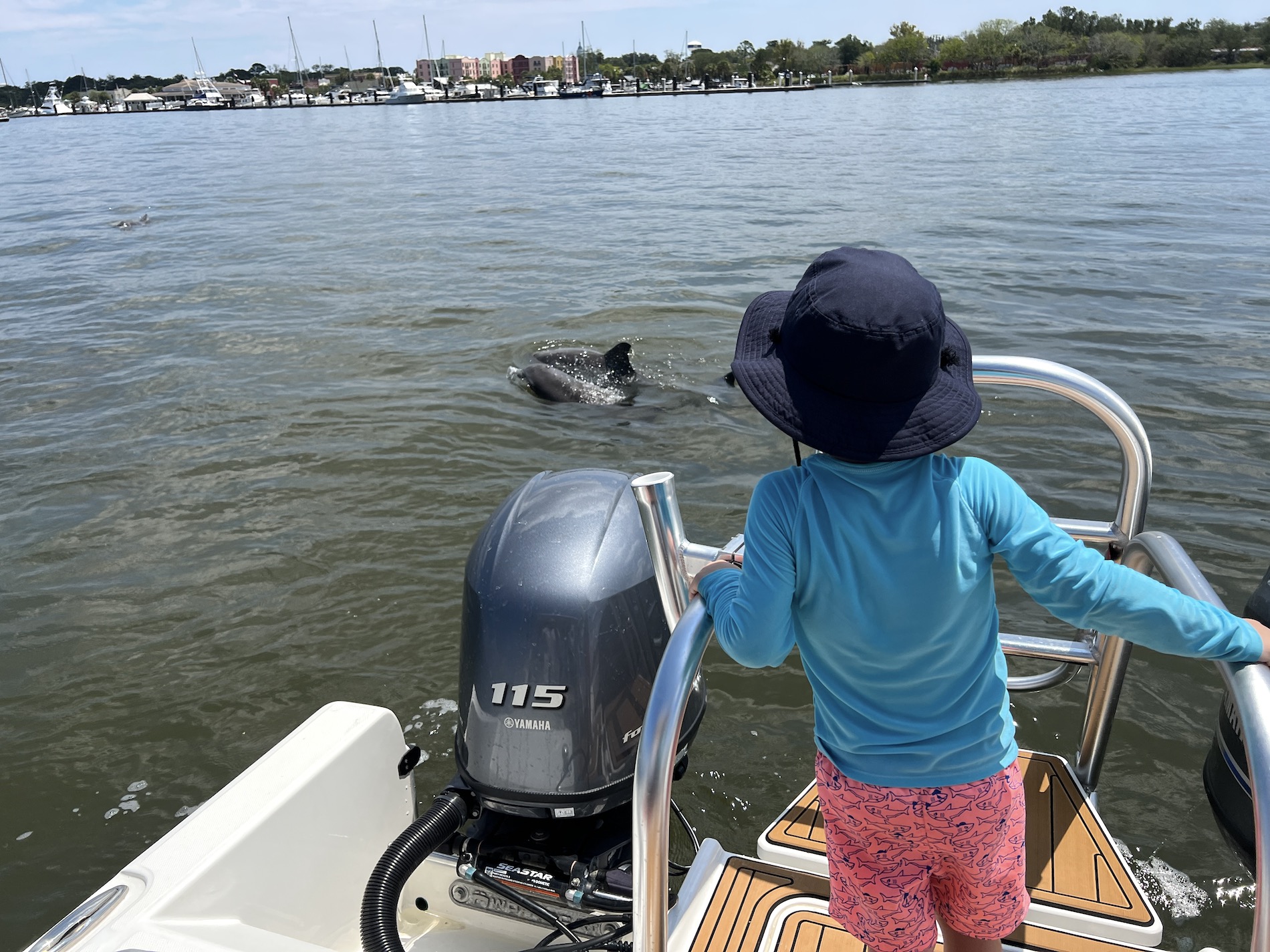 A child in a blue hat and shirt stands on a boat, looking at dolphins swimming near the surface of the water. The boat’s motor and a marina with sailboats are visible in the background.