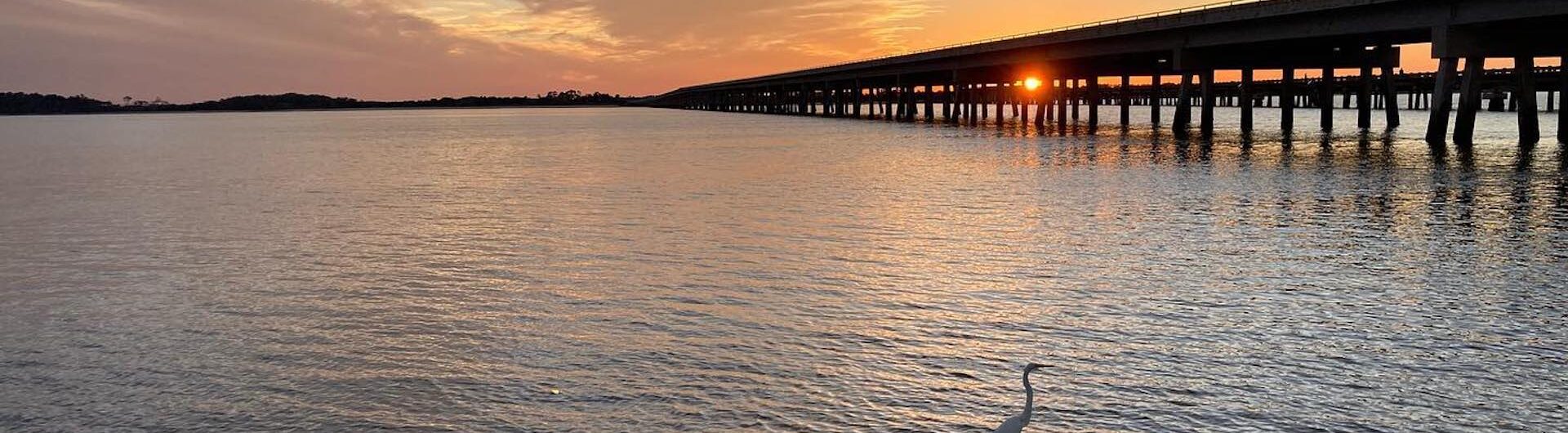 bird at George Crady Pier on Amelia Island