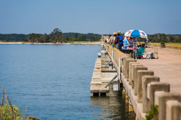 Amelia Island fishing