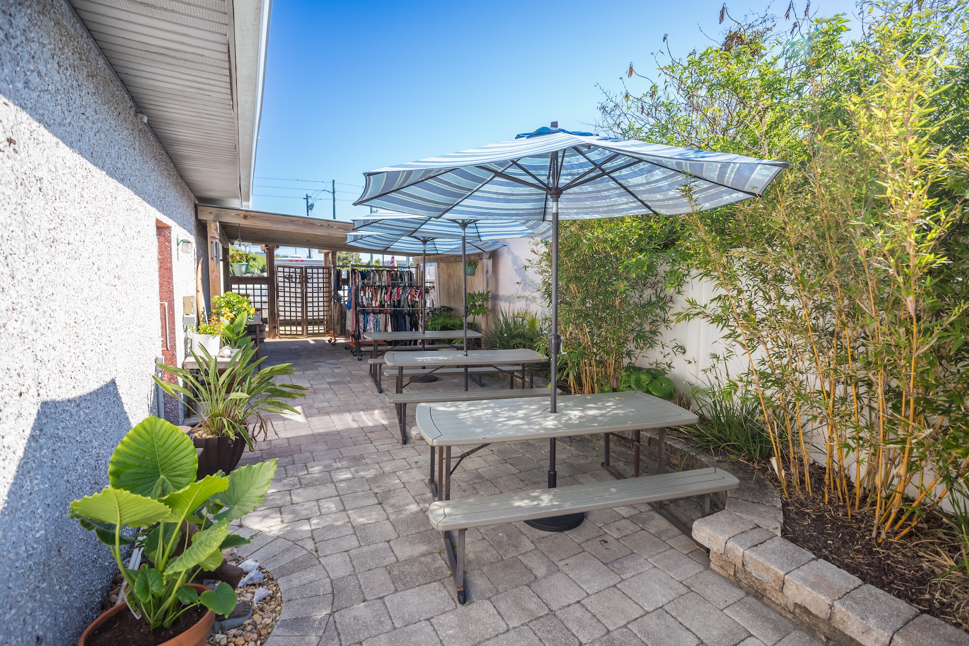 A sunny outdoor patio with picnic tables and large umbrellas, surrounded by green plants and bamboo, set on a stone-paved area next to a building. A wooden gate and fence are visible in the background.
