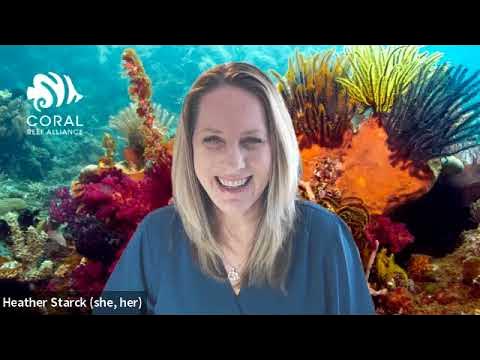 A smiling woman with shoulder-length blonde hair stands in front of a digital background featuring a colorful coral reef, with the Coral Reef Alliance logo in the upper left and Heather Starck (she, her) in the lower left.