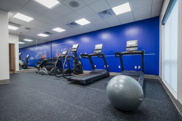 A gym with treadmills, free weights, benches, and a large gray exercise ball on a black speckled floor, with blue walls and ceiling lights.