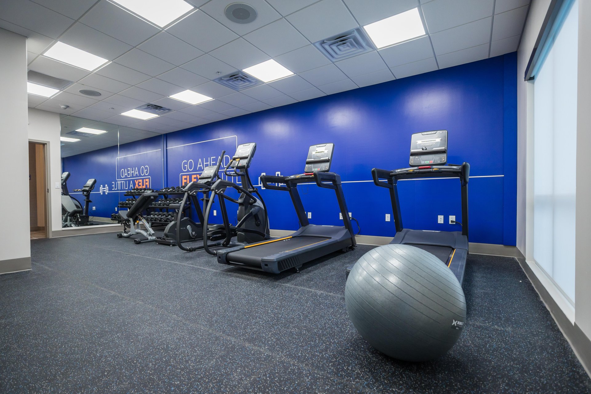 A gym with treadmills, free weights, benches, and a large gray exercise ball on a black speckled floor, with blue walls and ceiling lights.