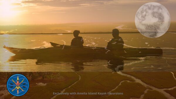 Amelia Island Kayak Excursions social media cover image