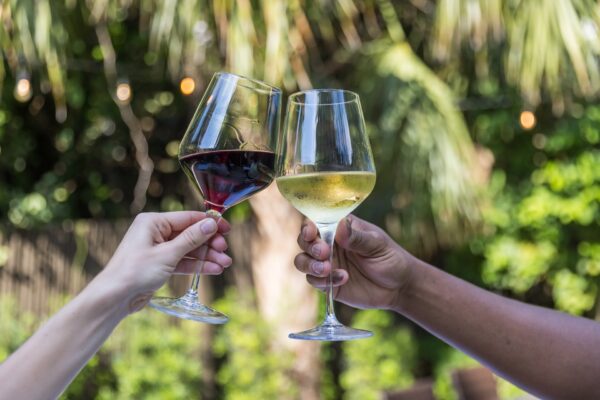 Two people clinking wine glasses, one with red wine and one with white wine, outdoors with green foliage and palm trees in the background.