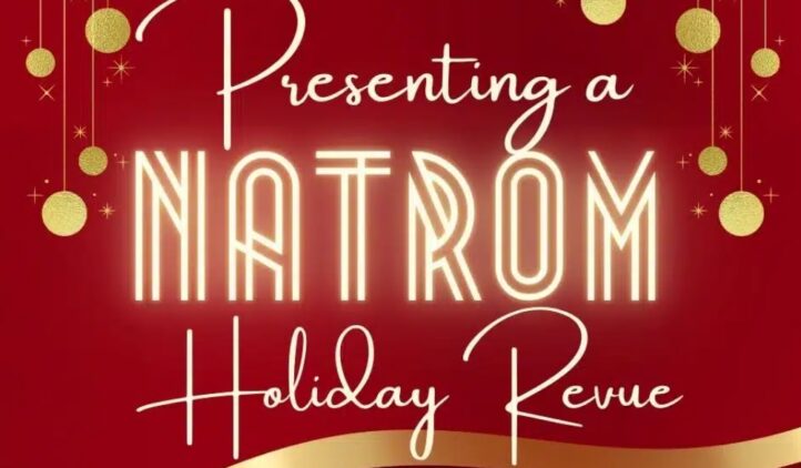 Red and gold holiday-themed graphic with hanging ornaments. Text reads: Presenting a NATROM Holiday Revue. In the lower right corner is the Story & Song Center for Arts & Culture logo.