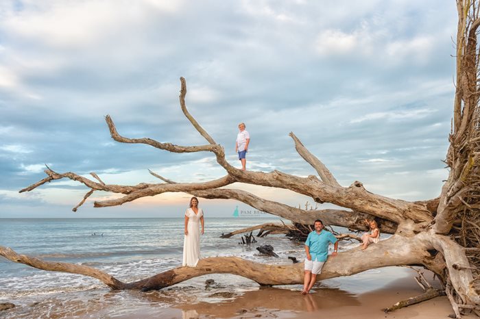 Pam Bell Photography family climbing driftwood