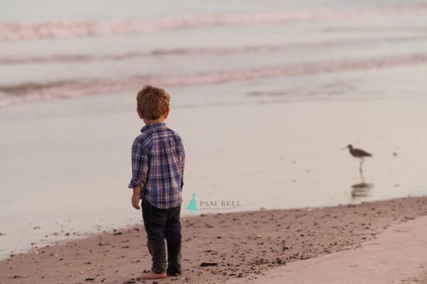 Pam Bell Photography boy and bird on beach