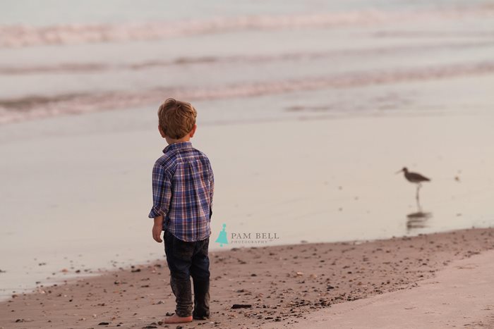Pam Bell Photography boy and bird on beach