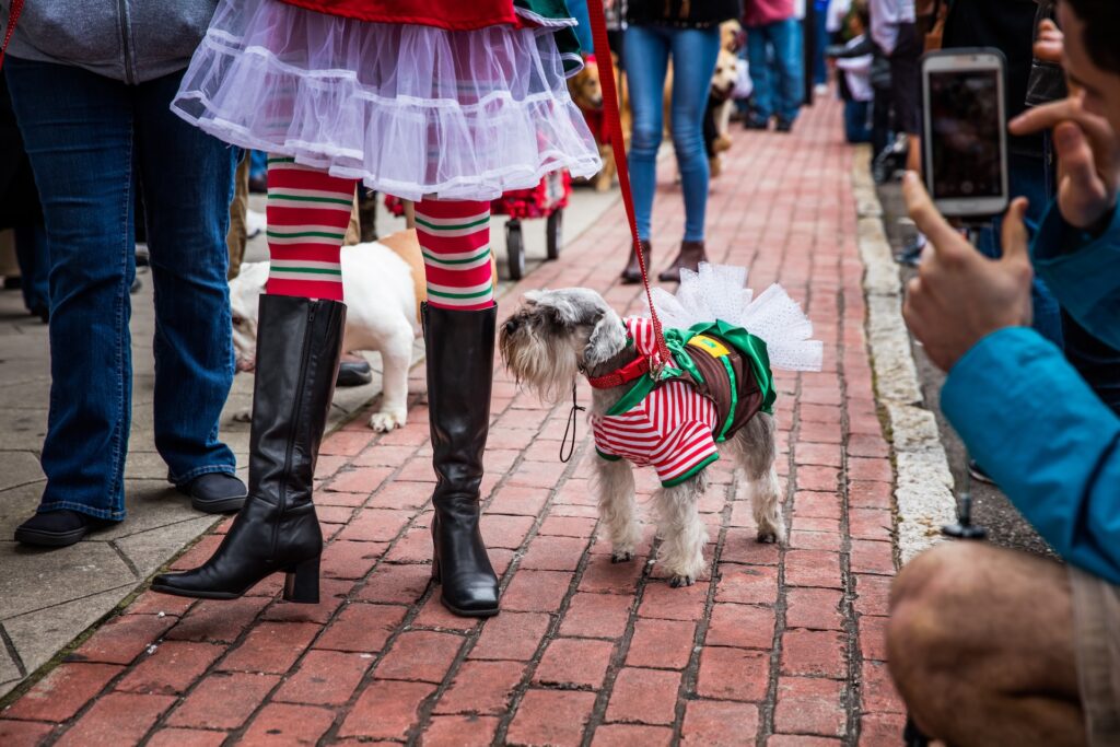 A small dog dressed in a festive costume with a tutu and striped shirt stands on a brick sidewalk next to a person in black boots and a colorful skirt. People around are taking photos and walking.
