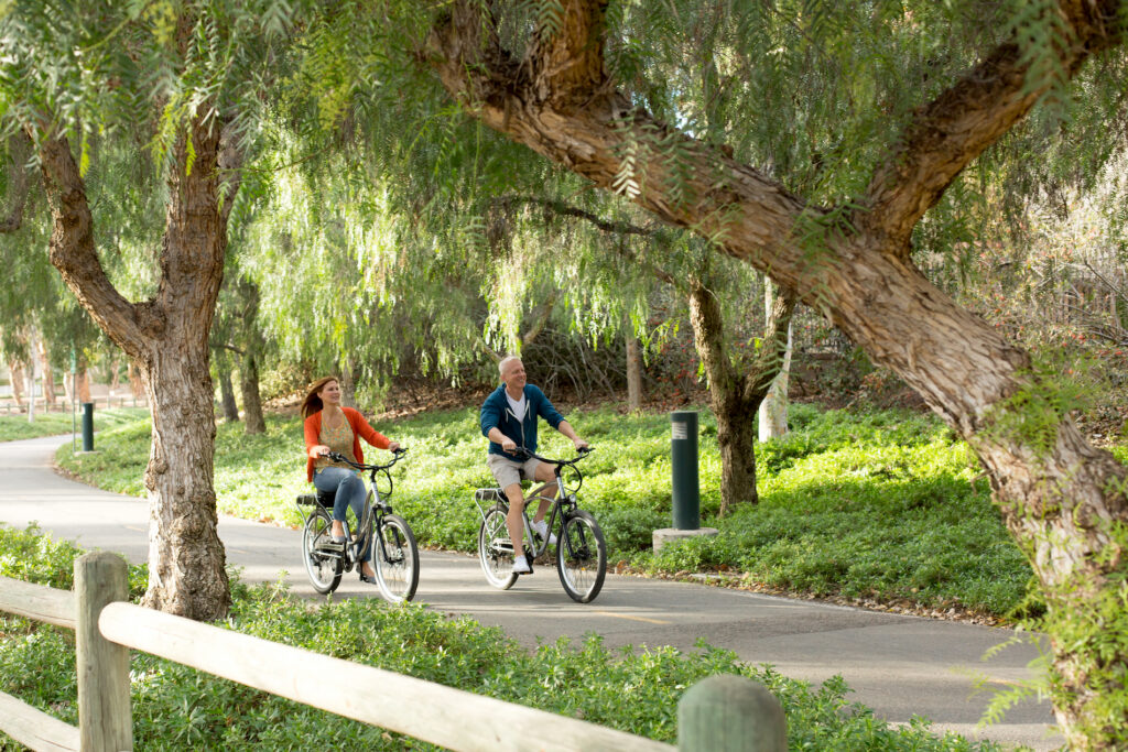 To Pedal or Not to Pedal?