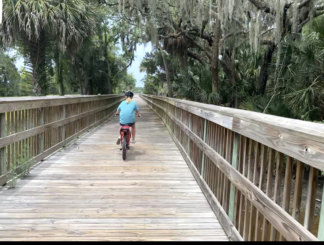 A child wearing a blue shirt and a helmet rides a red bicycle on a wooden bridge surrounded by lush, green trees draped with Spanish moss.
