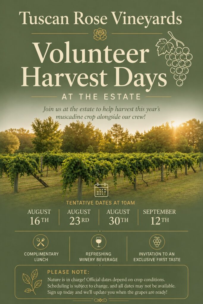 Event poster for Tuscan Rose Vineyards Volunteer Harvest Days featuring vineyard rows at sunset, key dates (Aug 16, 23, 30, Sep 12), and icons for lunch, beverages, and wine tasting. Event details and notes at the bottom.