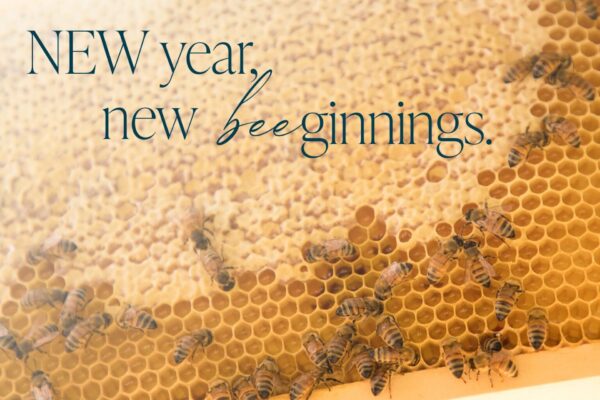 New year, new beginnings