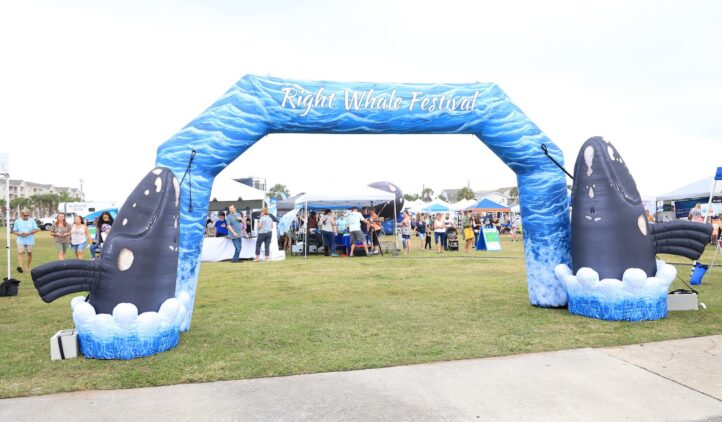 Amelia Island Right Whale Festival