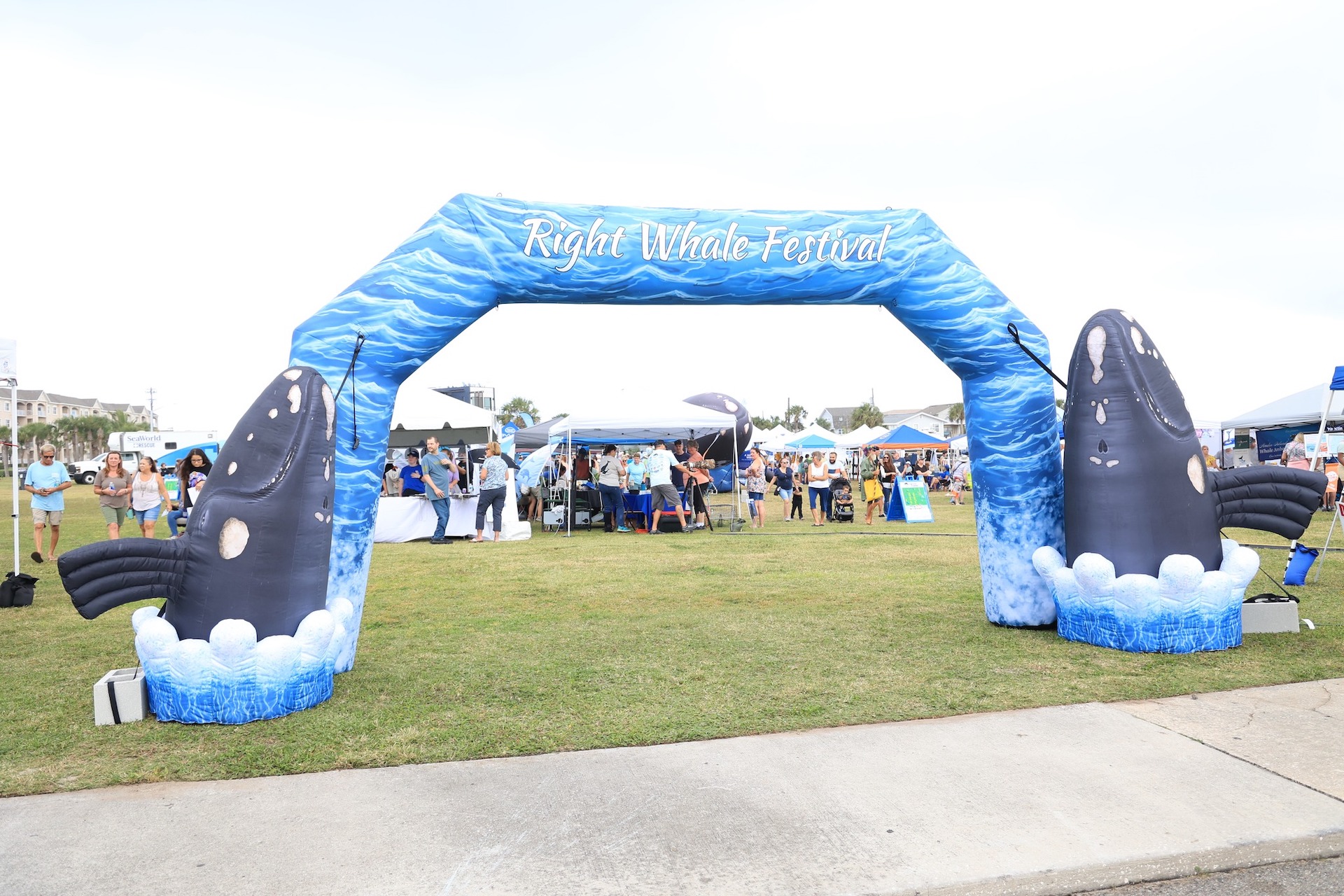 Amelia Island Right Whale Festival