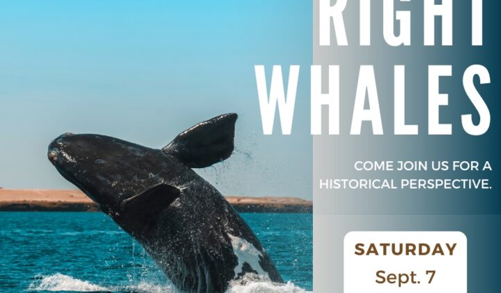 Right Whales presentation