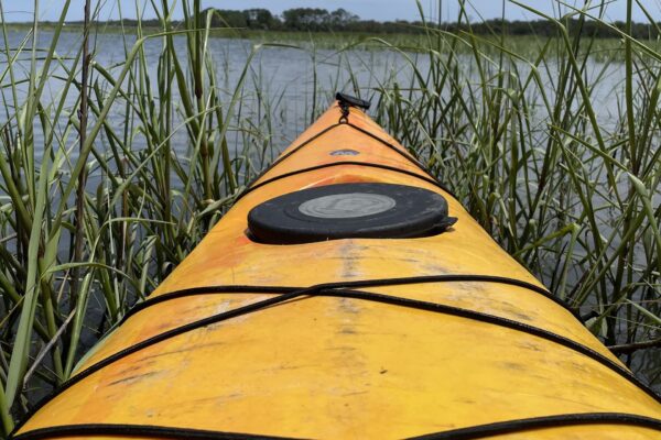 A bright yellow kayak pushes through tall green marsh grass, facing toward open water with trees and blue sky visible in the distance.