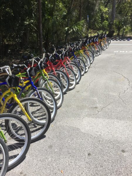 A row of colorful Riptide Amelia Island rental bicycles in yellow, red, green, and blue are lined up on a paved path beside a wooded area with trees and greenery in the background.