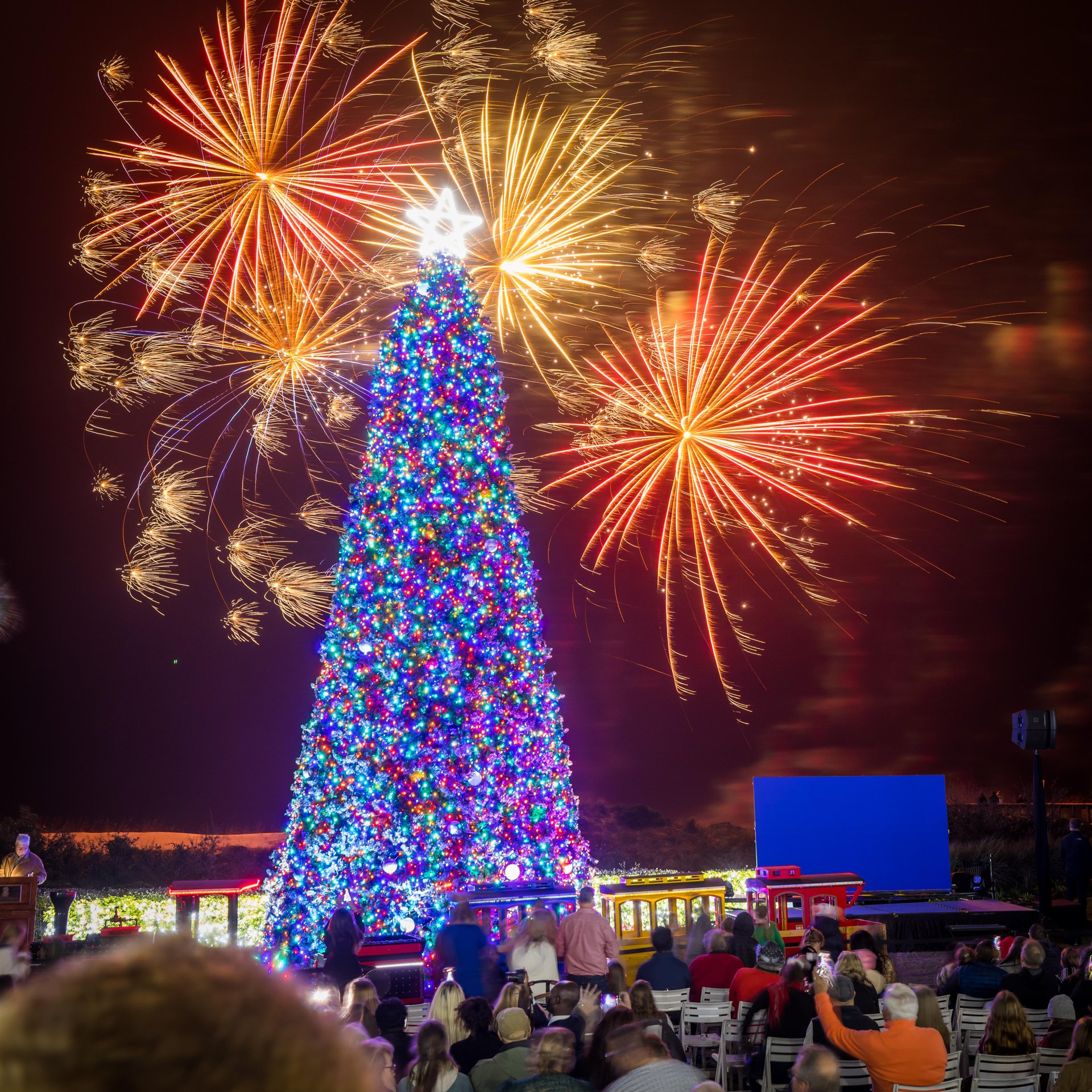 Annual Ritz-Carlton Christmas Tree Lighting