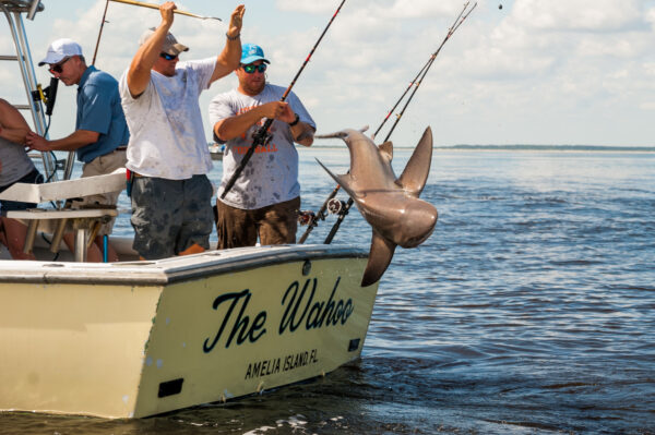The Wahoo boat