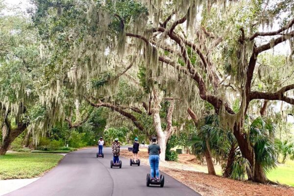 segway tour under trees