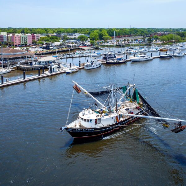 A white fishing boat named Lady Catherine sails near a marina with several docked boats. Colorful buildings and green trees line the waterfront on a clear, sunny day.