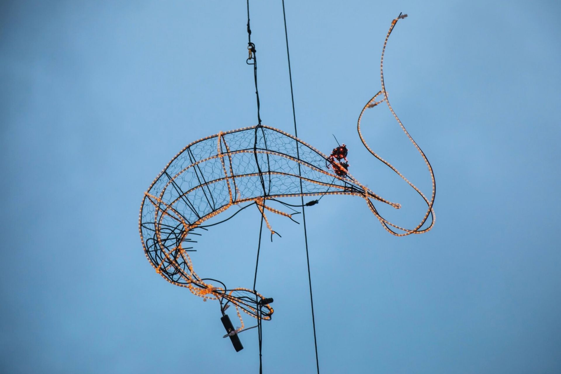 New Years Eve Shrimp Drop