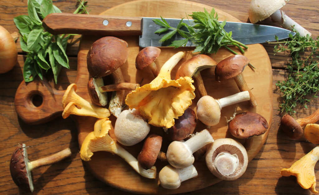 Mix of forest mushrooms on cutting board over old wooden table