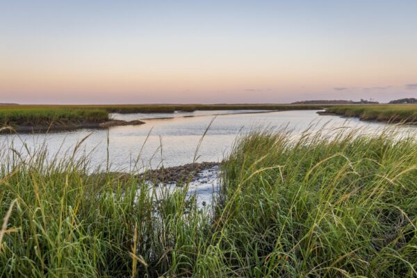 Tall green marsh grasses frame a calm waterway under a pastel sunset sky, with distant land and trees on the horizon.