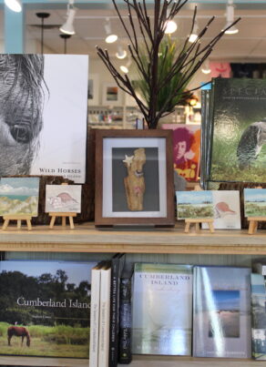 A bookstore display features nature-themed books, mini easels with animal art, and a framed nature photo. Prominent titles include Wild Horses, Wild Seas, and Pirates of the Florida Coast.