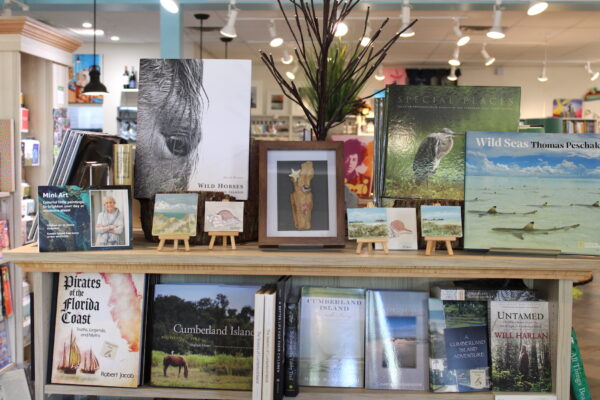 A bookstore display features nature-themed books, mini easels with animal art, and a framed nature photo. Prominent titles include Wild Horses, Wild Seas, and Pirates of the Florida Coast.