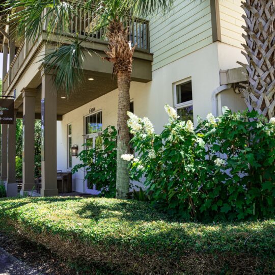 A beige building with a covered entrance, palm trees, lush green bushes, and white flowers in front. A sign reads Song and Stone: Coffee, Sweets & Gelato. Sunlight and greenery surround the area.