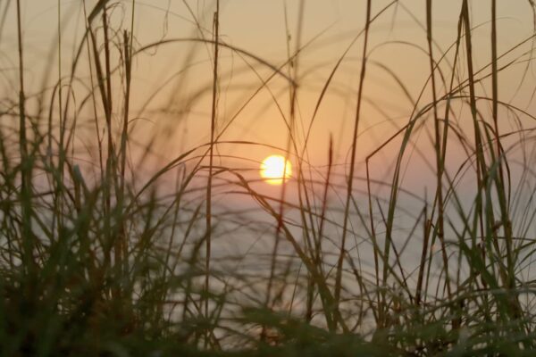 The Slowmad: Amelia Island for the Remote Worker