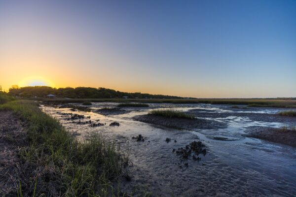 A serene marshland at sunset, with calm water reflecting the clear sky, grassy patches, and the sun setting behind trees on the horizon.