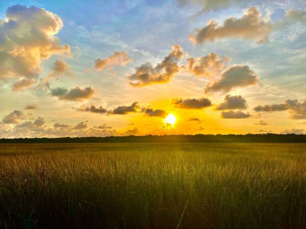 A golden sunset shines through scattered clouds over a vast grassy field, casting warm light and long shadows across the landscape, with a distant treeline at the horizon.