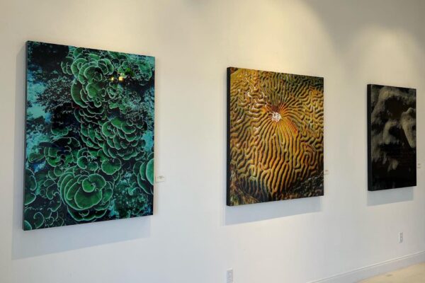 Three abstract art pieces hang on a white wall: the left one features swirling green shapes, the middle one displays yellow and brown wavy patterns, and the right one is mostly dark with subtle textures.
